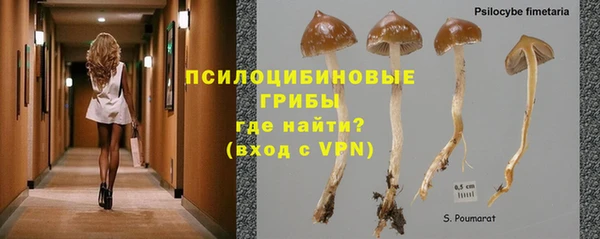 стаф Алексин