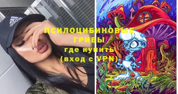 ешки Абаза