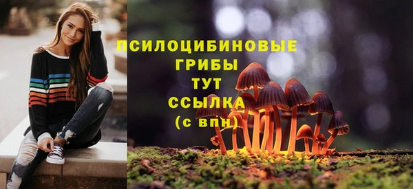 гашик Абдулино