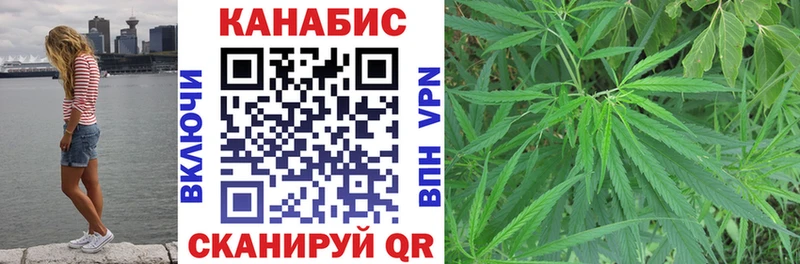 Каннабис сатива  Хадыженск 